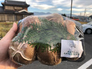 有限会社 森岡林業の写真3