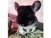 HappyGrowの写真4