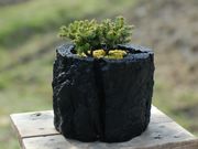 自然体験GreenGiftOutdoorsNaganoの写真3