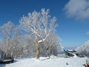 函館七飯スノーパークの写真2