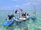 Narooma SUP/YOGAの写真3