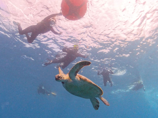 貸切ツアーなので、のんびり海で遊べます!_LOUTRE ISHIGAKI