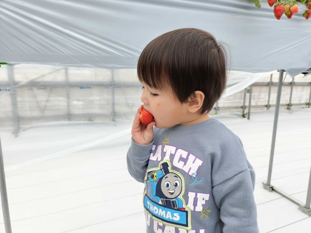 サンベリー農園