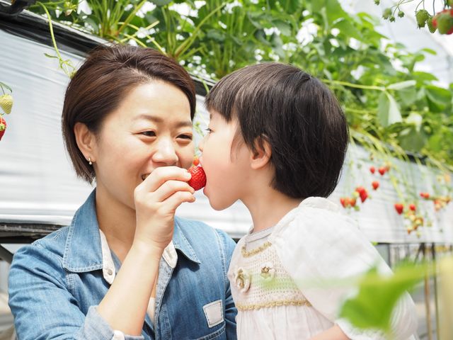 サンベリー農園