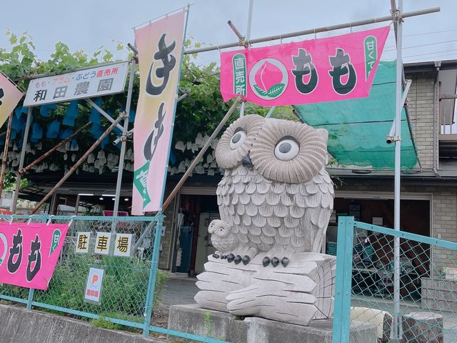 和田農園
フクロウ直売店_和田農園