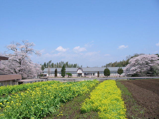 昭和ふるさと村