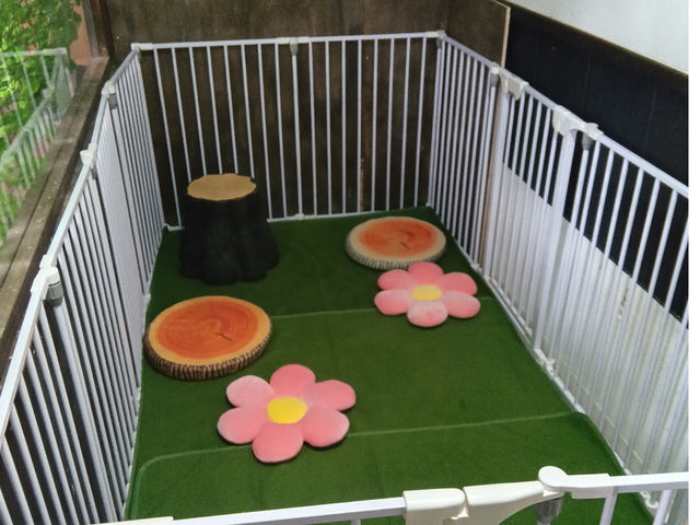 落ち着いた店内、個室でゆっくり過ごせます♪_Exotic Aqua IGUZ(エキゾチック アクア イグズ)