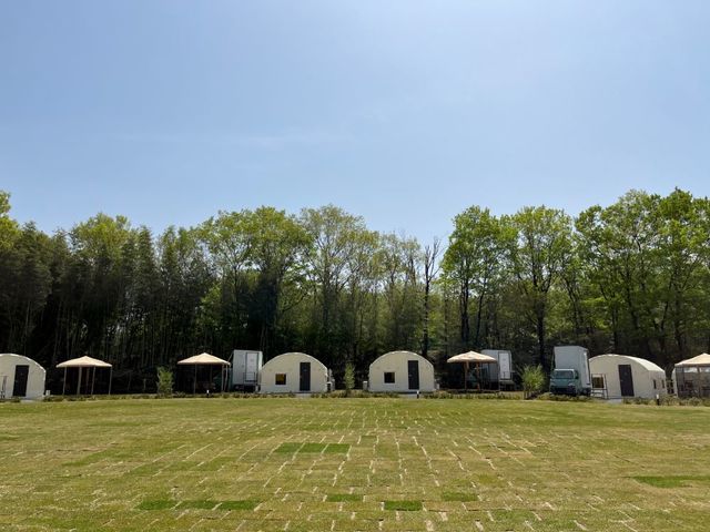 NTV SMOKY GARDEN
