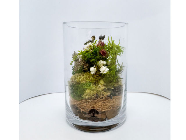 水やり不要「苔と花のテラリウム」作り/トールサイズ_Botanicaflower SCHOOL
