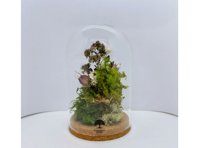 水やり不要「苔と花のテラリウム」作り/ドームサイズ_Botanicaflower SCHOOL