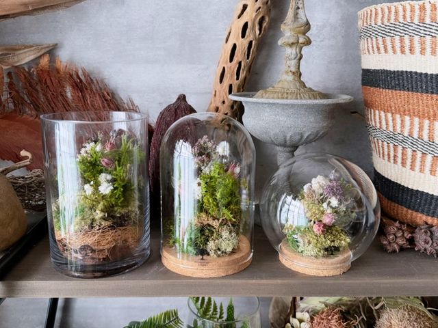 水やり不要「苔と花のテラリウム」作り_Botanicaflower SCHOOL