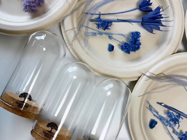 熱海の海と空をイメージした「ドームテラリウム」と「ボタニカルリング」作り_Botanicaflower SCHOOL