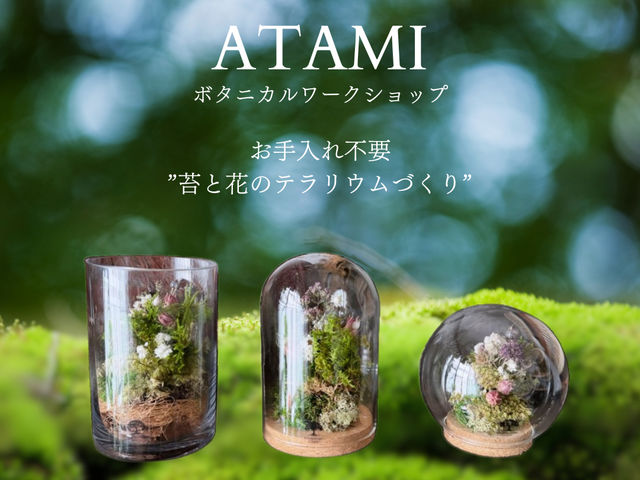 水やり不要「苔と花のテラリウム」作り_Botanicaflower SCHOOL