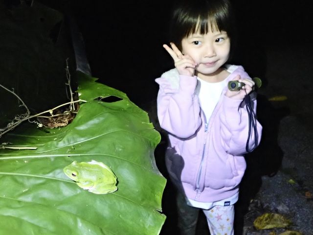 3歳から参加OK!お子様でも安全な林道を散策します。_ネイチャーツアー やままーる石垣島