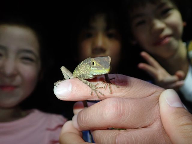 可能な限り生き物とのふれあいや一緒に撮影も可能です。_ネイチャーツアー やままーる石垣島