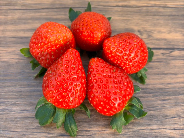 Berry Happy