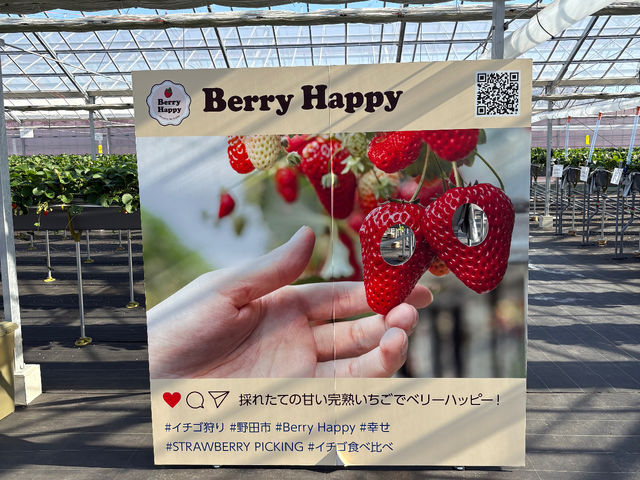 Berry Happy