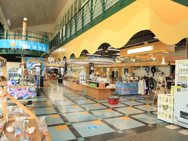 売店では、貝殻、真鶴、伊豆、小田原のお土産が販売しています。_ケープ真鶴 美食広場