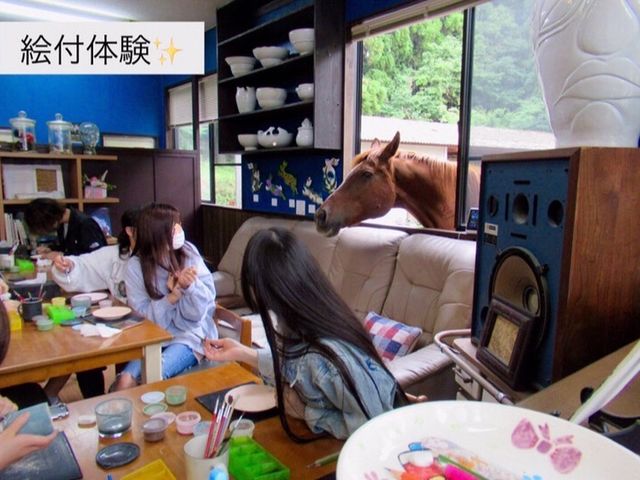 馬を放し飼いにしているので、窓から覗きに来たり外で撫でたりと動物とも触れ合えます♪
窯は犬などペットも大丈夫ですよ。_庸山窯(ようざんがま)
