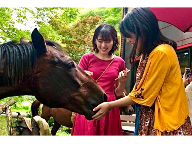 絵付体験やドリンク喫茶が出来ますが、庭放し飼いの馬とも触れ合えます♪ 馬はジェーンとポルカさんです。どちらも女の子_庸山窯(ようざんがま)