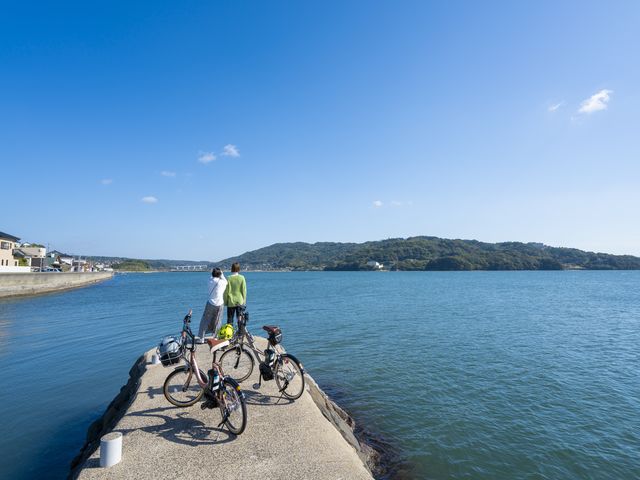 安田産業汽船