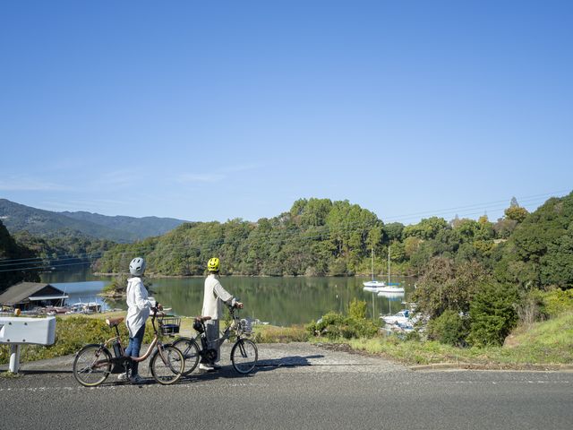 安田産業汽船