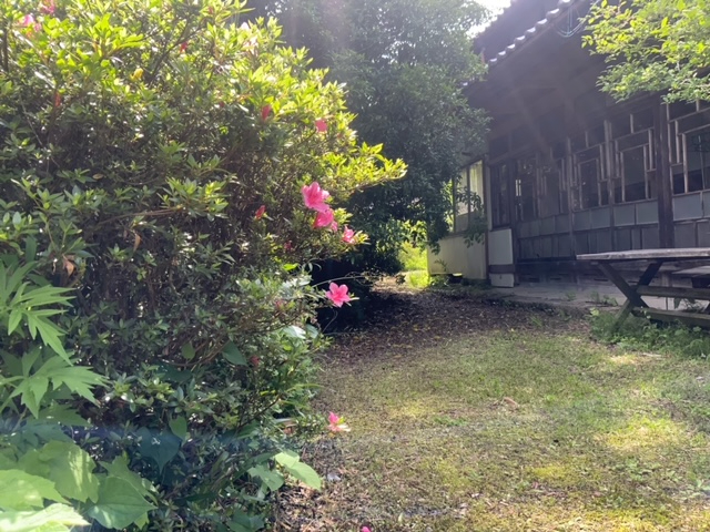 古民家の庭では季節ごとの花々眺めながらお茶の時間を_古民家キッチンMANI
