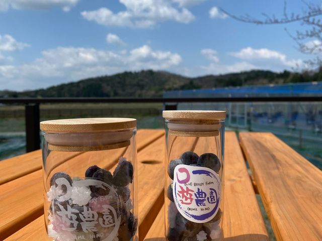 遊農園