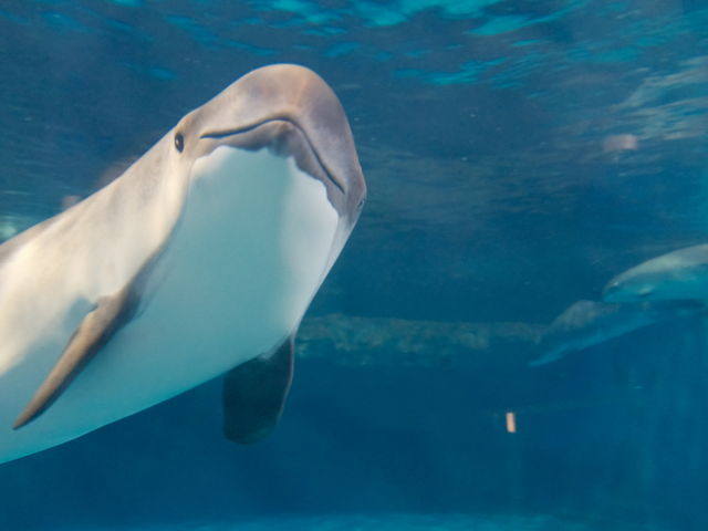 おたる水族館