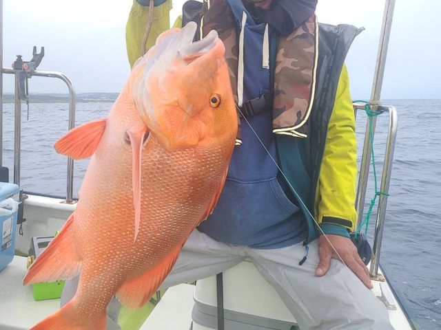 幻の魚!千年鯛!_沖縄糸満 遊漁船とら吉丸