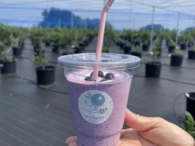 ブルーベリー農家の完熟ブルーベリーを贅沢に使ったスムージーはいかがでしょうか。_BLUEBERRY BASE MOKA(ブルーベリーベースおもか)