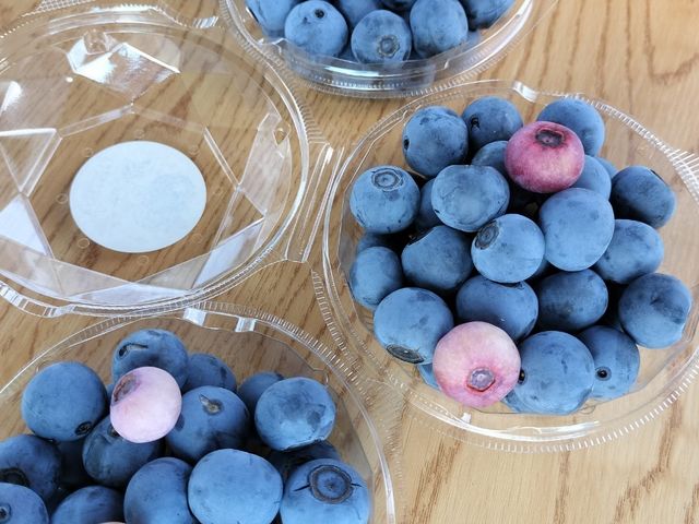 直売や持ち帰りもできます。_BLUEBERRY BASE MOKA(ブルーベリーベースおもか)