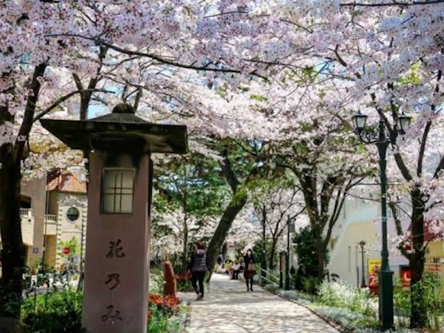 タカラジェンヌも歩く花の道を歩いて宝塚大劇場へ_アイアールトラベル(株式会社フォーライフ)
