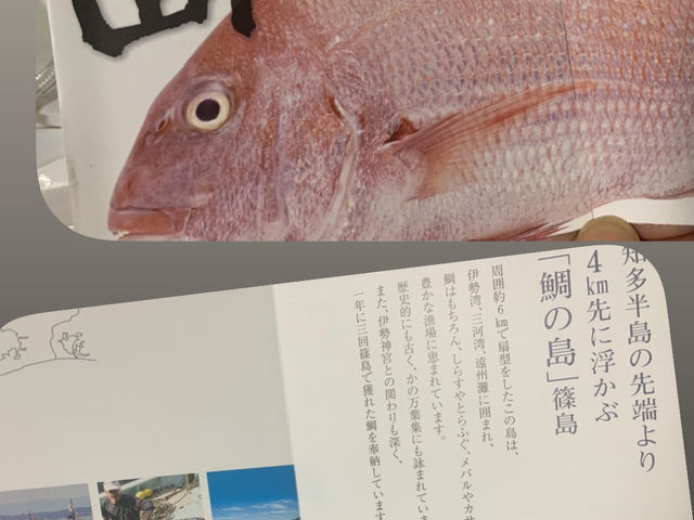 篠島お魚の学校