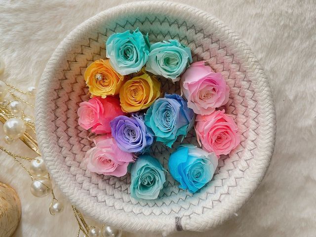 パステルグラデーション花材_Amitie