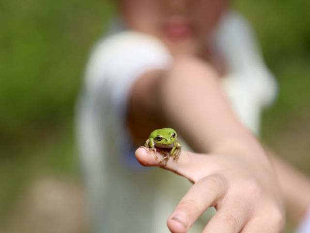 ちいさな生き物との触れ合いも、醍醐味です。_天然ファーム藝術農民