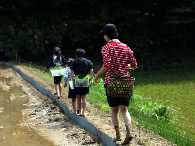 からっと明るい農村で、子どもにかえりましょ。_天然ファーム藝術農民