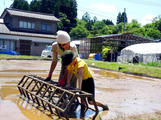 お子さんの体験も大歓迎! 一緒に楽しく農に触れましょう。_天然ファーム藝術農民