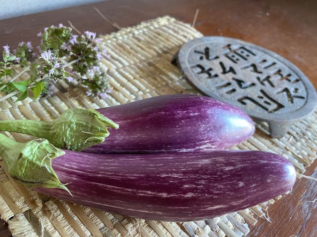 野菜も固定種を中心に育てています。_天然ファーム藝術農民
