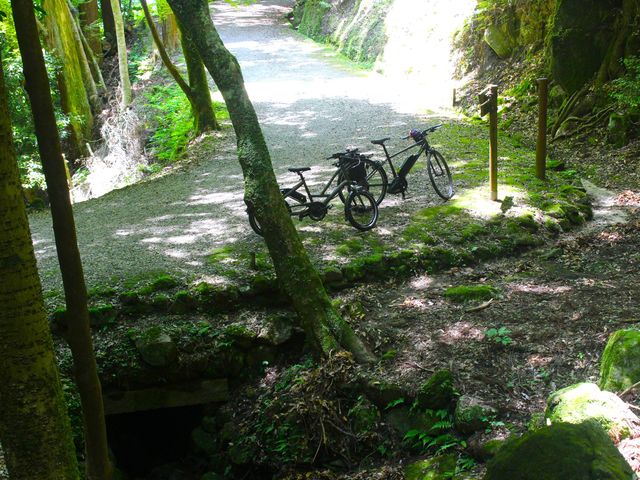 TOLT 旅と暮らしのスポーツ自転車
