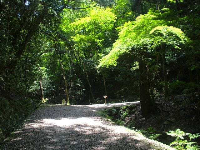 TOLT 旅と暮らしのスポーツ自転車
