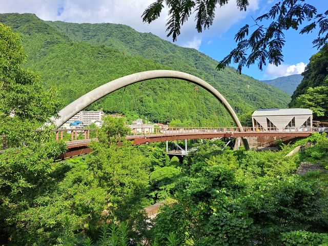ロマン橋外観_祖谷ふれあい公園