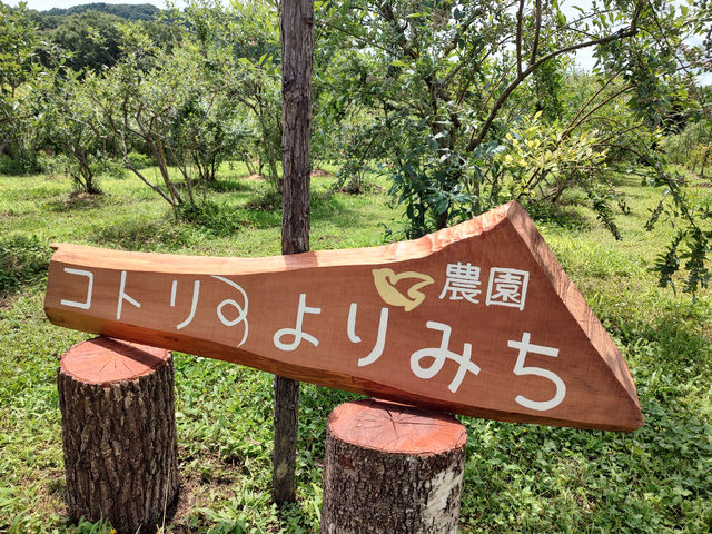 手作りの看板_農園コトリのよりみち