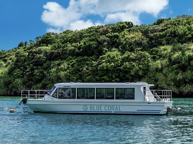 BLUE CORAL