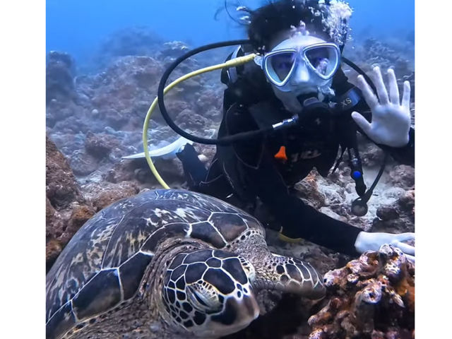 SAMURAI SCUBA