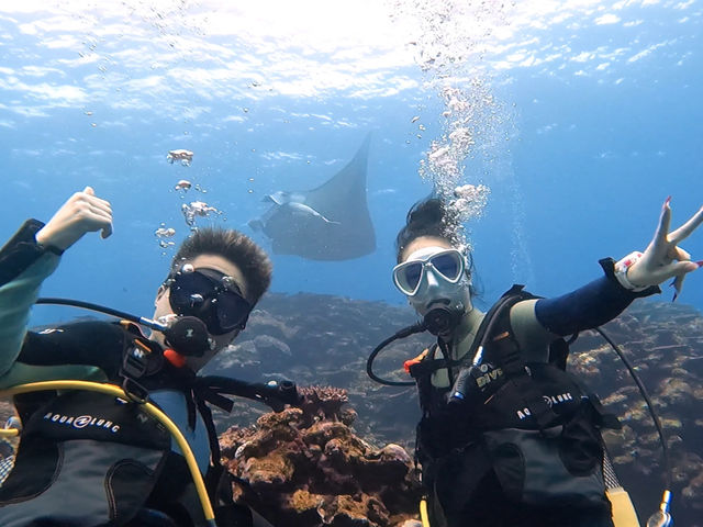 SAMURAI SCUBA