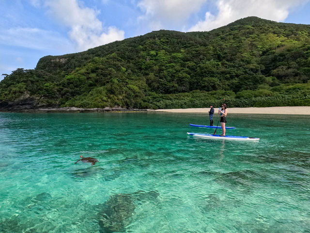 海ガメ遭遇率90%以上の当ショップのSUPツアー。_Acoustic Life
