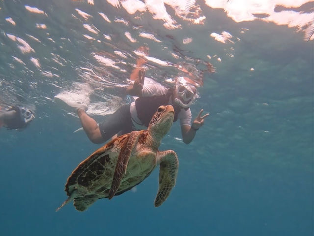 smilesupmiyakojima
