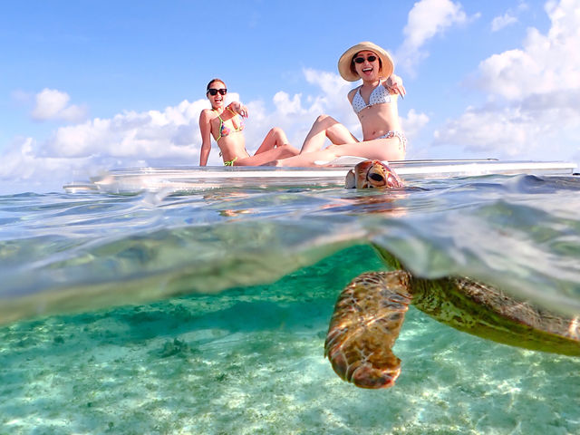 smilesupmiyakojima