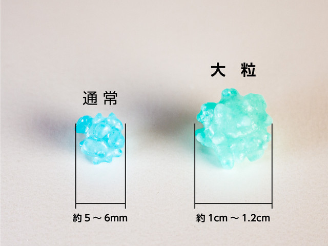 嚙み応えがしっかりあって味が濃い大粒は、大人の方にもリピーター様多し!お玉すくい体験は大人の方のチャレンジも、もちろん出来ます!_恋寿華堂 出張体験工房